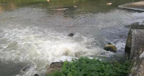資料圖：市污水處理廠大量污水溢流至萍水河。 圖片來源：生態(tài)環(huán)境部