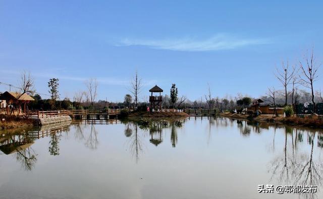 扎實推進(jìn)“九大工程”  創(chuàng)建社區(qū)發(fā)展治理“郫都樣本”