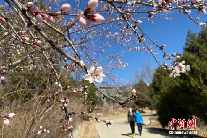點(diǎn)擊進(jìn)入下一頁