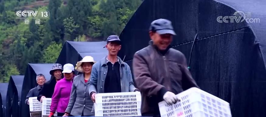 點擊進入下一頁